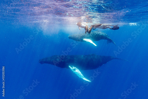 Humpback whale (Megaptera novaeangliae), mother and calf underwater on the Silver Bank, Dominican Republic, Greater Antilles photo