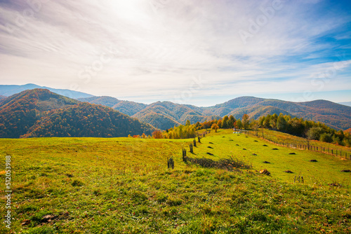 rural landscape in mountains. grassy fields on the hill. forest in colorful foliage. wonderful nature scenery of romania on a warm sunny autumn day © Pellinni