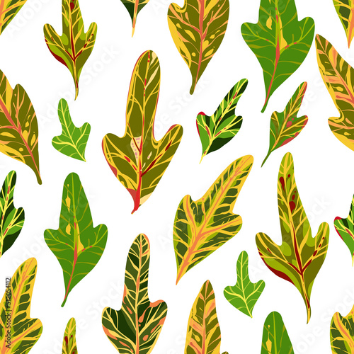 Botanical vector illustration. Houseplants.Variegated plants, multicolored leaves. Codiaeum. Seamless Pattern. Light background, wallpaper