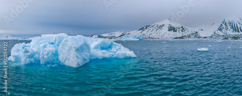 Foto Drift floating Ice and Snowcapped Mountains, Iceberg, Ice Floes, Albert I Land,