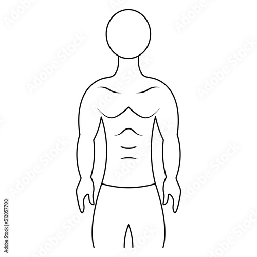 Muscular torso of a man. Sketch. Vector illustration. Athletic body of a young man. Unknown person. Outline on isolated background. Doodle style. Idea for web design