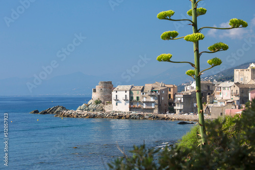 View across bay to village houses and ruined 16th century Genoese watchtower, Erbalunga, Cap Corse, Haute-Corse