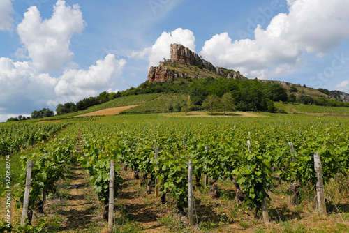 Solutre Rock and vineyards in Saone et Loire, Burgundy