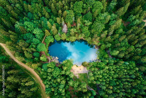Blue lake in the middle of green forest, aerial view. Wild colorful lake in mountain park in Poland. Beautiful nature landscape photo