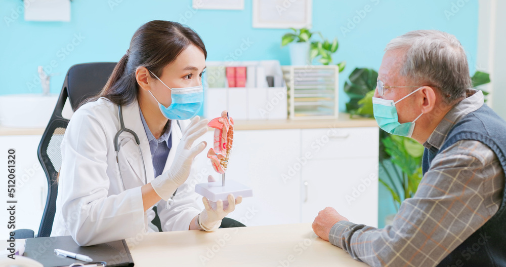 Fototapeta premium doctor explain stomach model