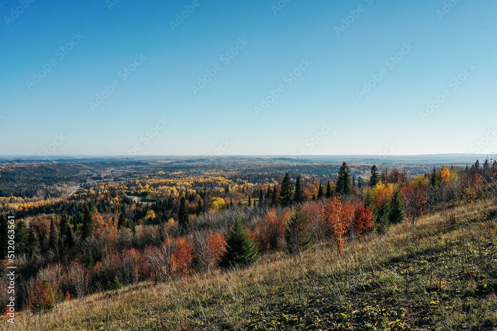 Aerial view of colorful forest in autumn.