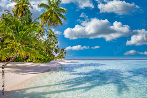 Best summer beach landscape. Tranquil tropical island  paradise coast  sea lagoon  horizon  palm trees and sunny sky over sand waves. Amazing vacation landscape background. Beautiful holiday beach