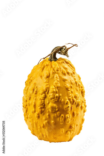 Ripe orange pumpkin isolated on white background. Whole squash, traditional festive autumn decor