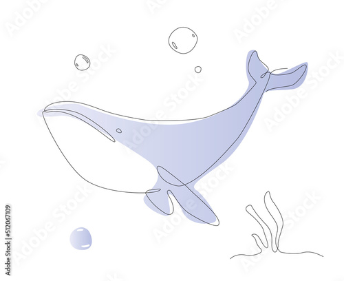 One line whale illustration. Sea life mammal line art vector. Cute fish outline