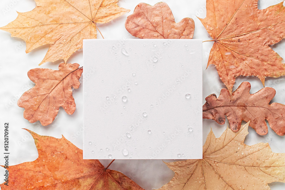 Fall background with autumn leaves. Blurred transparent clear water surface with marble texture with splashes and bubbles