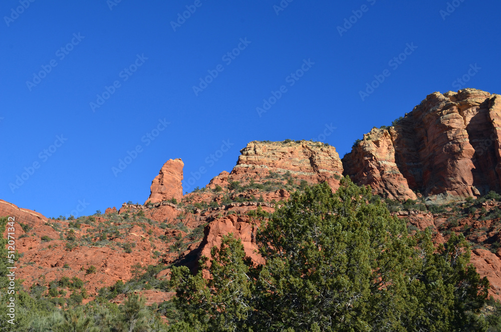 Looking Up from a Deep Red Rock Canyon