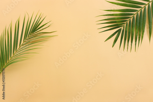 Fototapeta Naklejka Na Ścianę i Meble -  Image of tropical green palm over yellow pastel background