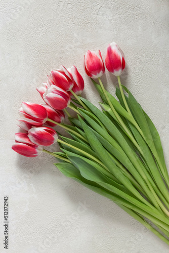 Bouquet of tulips