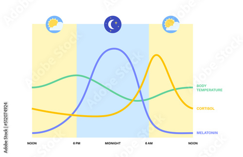 Sleep wake cycle