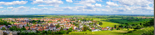 Panoramic view of Wachenhein on the Wine Route. Landscape in summer in Rhineland-Palatinate. 