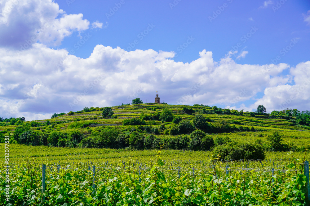 Flag tower near Bad Dürkheim with surrounding landscape. Tower on a hill with grape vines in the foreground.
