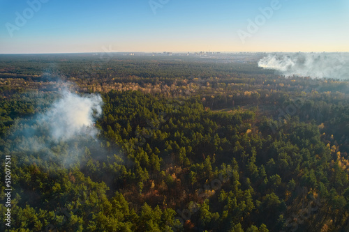 Burning forest with fire and smoke. aerial top view from drone
