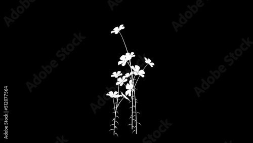 Pentunia White Silhouette Overlay animation.Full HD 1920×1080.10 Second Long.Transparent Alpha video.