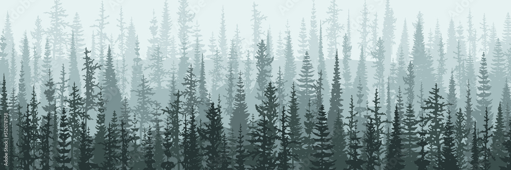 Coniferous forest in the morning haze, vector banner