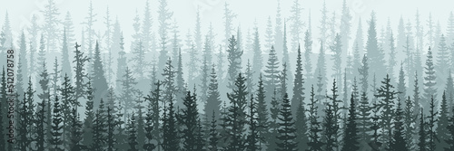Coniferous forest in the morning haze, vector banner