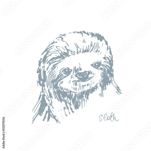 Abstract hand drawn jungle sloth animal portrait illustration