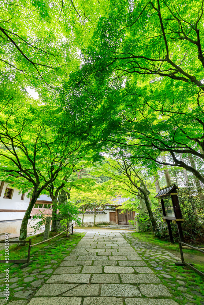 初夏の呑山観音寺 福岡県篠栗町 Nomiyamakannonji temple in early summer. Fukuoka-ken Sasaguri town. 初夏の呑山観音寺 福岡県篠栗町 Nomiyamakannonji temple in early summer. Fukuoka-ken Sasaguri town.