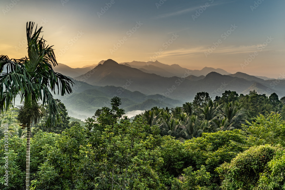 beautiful landscape with mountains in the background srilanka - obrazy, fototapety, plakaty 