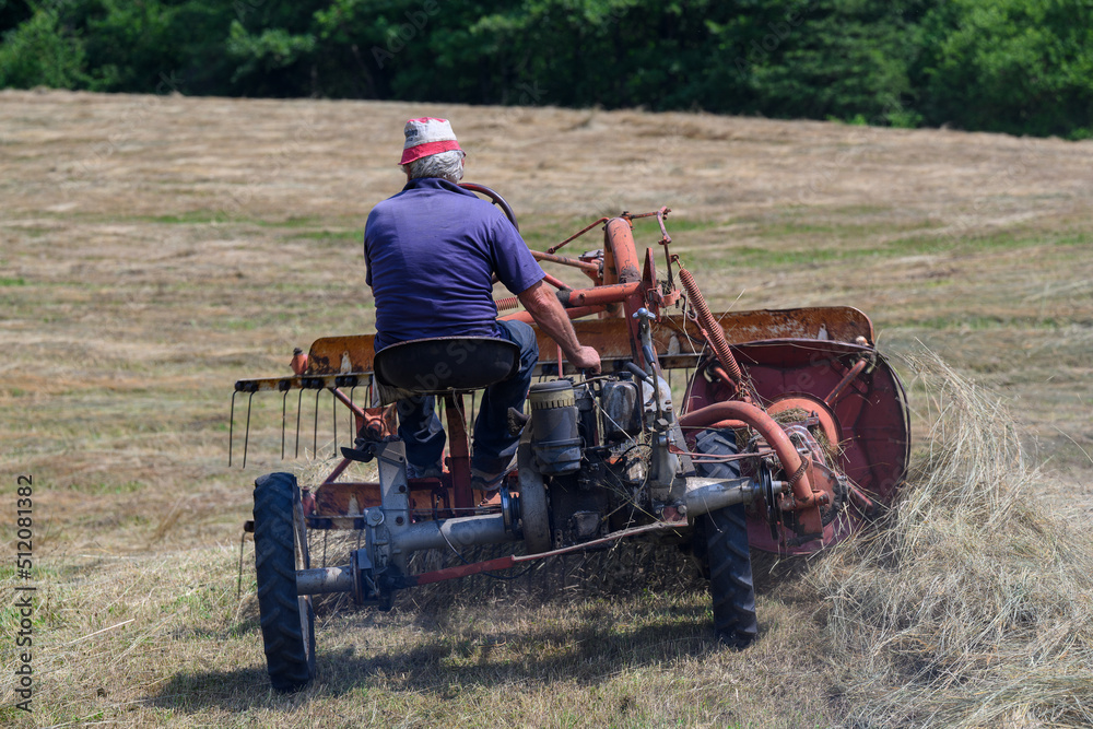 Obraz premium lavoro agricolo