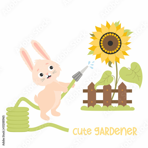 Cute bunny gardener. Rabbit waters yellow sunflower with hose behind wooden fence. Vector illustration. Funny hare character for kids collection, cards, covers, design, farm decor and prints, flyers