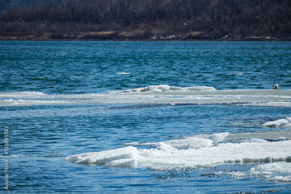 Ice and sea. Blue sea with pieces of ice on the surface of the water.