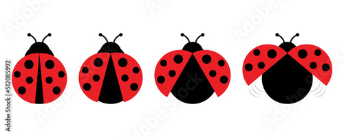 Fotografie, Obraz Ladybug or ladybird vector illustration