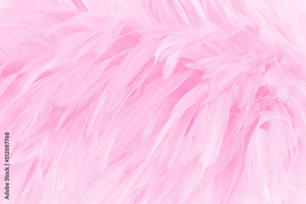 Beautiful soft pink bird feathers pattern texture background.