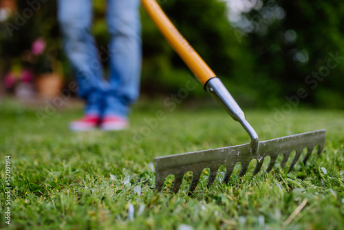 Unrecognizable woman doing garden work raking green grass on backyard, close-up. photo