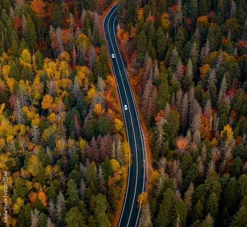 Top view of curvy road passing through the bright autumn forest