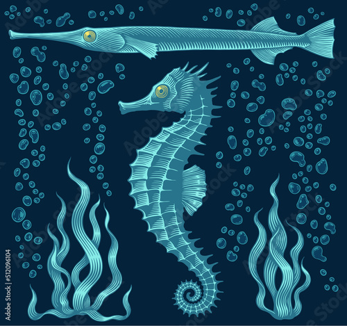 Seahorse and fish in the ocean. Design set. Editable hand drawn illustration. Vector vintage engraving. 8 EPS