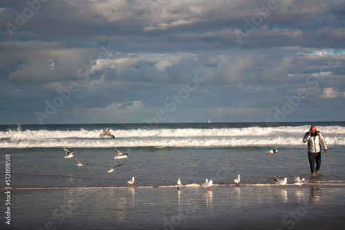 seagulls and a man on Bondi Beach, Sydney