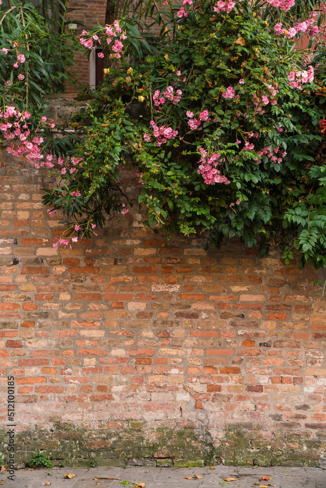 background - brick wall with flowers