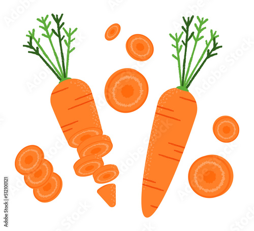 fresh carrots. Vector illustration of whole carrots and carrot slices.