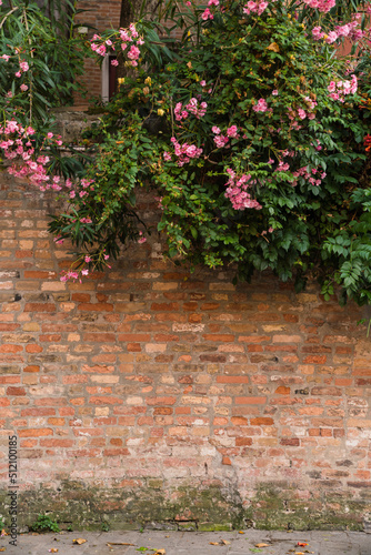 background - brick wall with flowers © gammaphotostudio