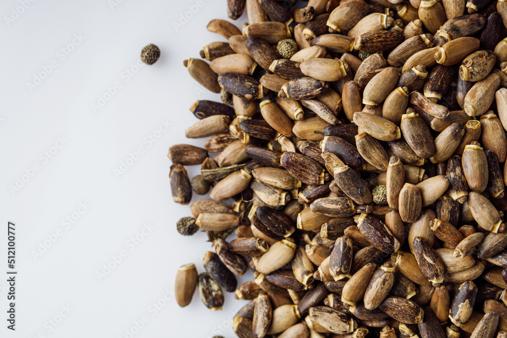 milk thistle seeds on a white acrylic background milk thistle seeds on a white acrylic background