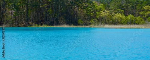 青い湖面に森の緑が映える弁天沼