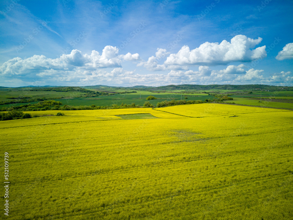 Fototapeta premium Meadows with a plant in a valley with fields against the background of the daytime sky in Bulgaria