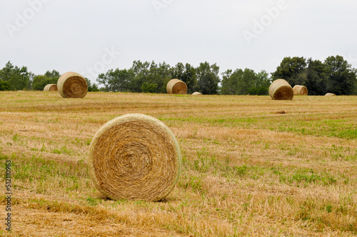Hay Roll Harvest