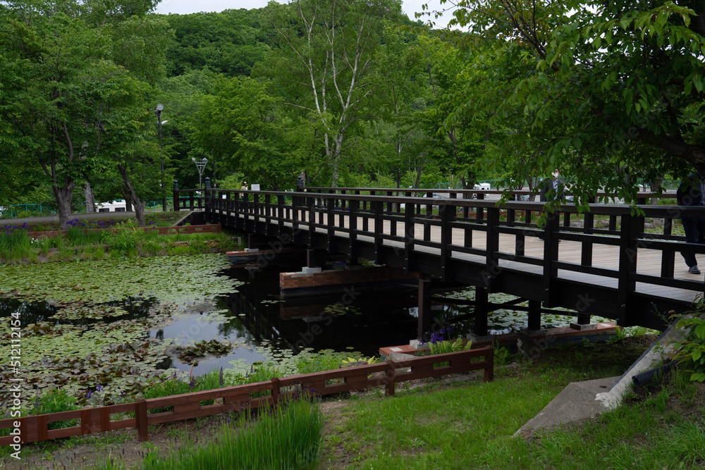 bridge over the river