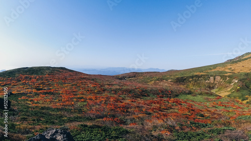紅葉の栗駒山、紅葉の絨毯、赤の絨毯 © Masaki/Mark