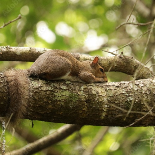 Nap time photo