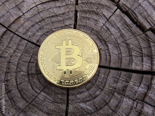 Bitcoin dorée sur un tronc d’arbre photo