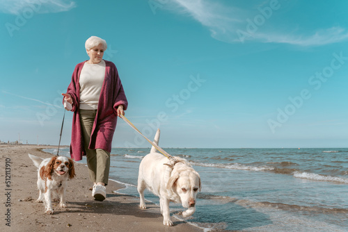 Photography Lady walking her dogs on the leash