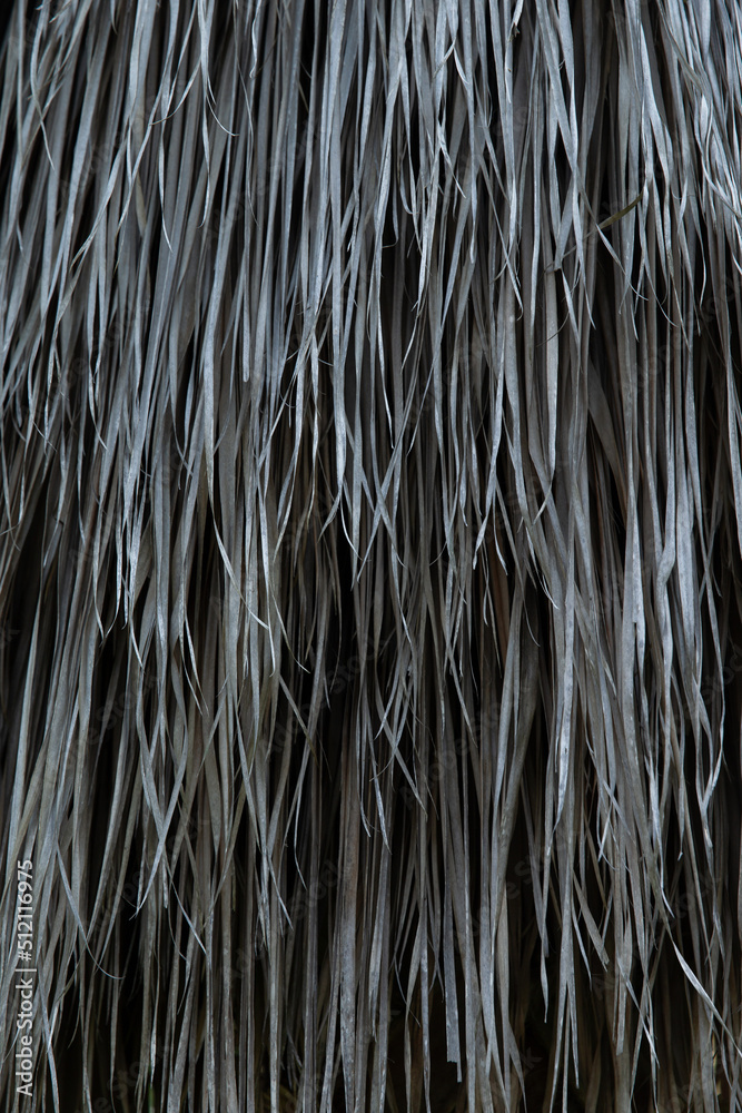 Dried palm leaves. Ideal for the background. Dried palm leaves. Ideal for the background.