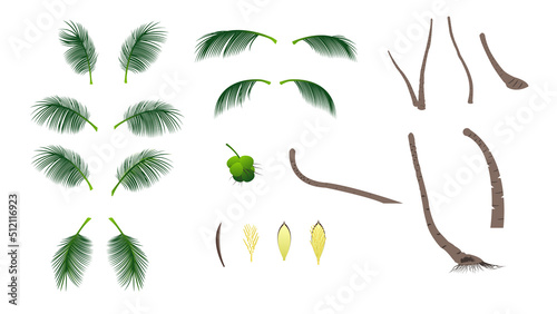 Set Of Coconut Palm Tree Parts